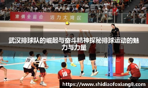 武汉排球队的崛起与奋斗精神探秘排球运动的魅力与力量
